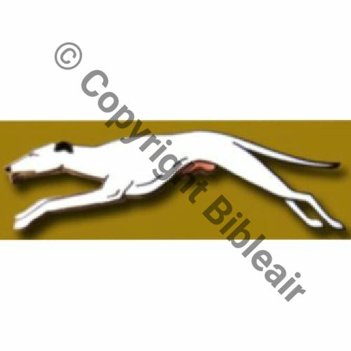 081  1944 A1060NH SPA.81 2eDrille GC.II.3 DAUPHINE LEVRIER AVEC COUCOUGNETTES Src.P.GOUT via A.DENIS  (2)